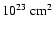 $10^{23}~\rm cm^2$