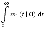 $\displaystyle \int\limits_0^\infty m_{1}(t~\vert~0)~{\rm d}t$