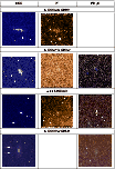 \begin{figure}
\par\begin{tabular}{\vert c\vert c\vert c\vert}
\hline
DSS & $H$...
...graphics[width=0.1\textheight]{7617fig24.ps}\\
\hline
\end{tabular}\end{figure}