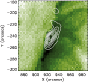 \begin{figure}
\par\includegraphics[width=8cm]{9323fig6.ps}\end{figure}