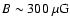 $B \sim 300~\mu
{\rm G}$