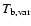 $T_{\rm b, var}$