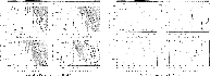 \begin{figure}
\par\includegraphics[width=17.3cm]{Fig4online.eps}\end{figure}