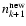$n_{k+1}^{\rm new}$