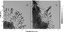 \begin{figure}
\par\includegraphics[width=18cm,clip]{9831fig4.eps}\end{figure}