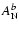 $A_{\rm N}^{b}$