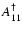 $A^{\dag }_{11}$