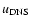 $u_{{\rm DNS}}$