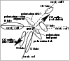 \begin{figure}
\par\resizebox{8.8cm}{!}{\includegraphics{9901fig2.eps}}
\end{figure}