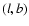 $\it (l,b)$
