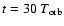 $t=30~T_{\rm orb}$