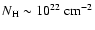 $N_{\rm H}\sim10^{22}~{\rm cm}^{-2}$
