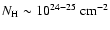 $N_{\rm H}\sim10^{24-25}~{\rm cm}^{-2}$
