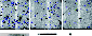 \begin{figure}
\par\includegraphics[height=0.32\hsize]{10282f16.eps} \hfill
\in...
...282f20.eps} \hfill
\includegraphics[width=0.31\hsize]{10282f21.eps}\end{figure}