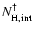 $N_{\rm H,{\rm int}}^\dagger$
