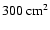 $300~{\rm cm^2}$
