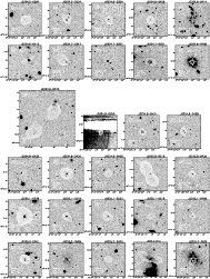 \begin{figure}
\par\mbox{\includegraphics[width=1.30in]{8453_311.ps}\includegrap...
...=1.32in]{8453_338.ps}\includegraphics[width=1.30in]{8453_339.ps} }\end{figure}