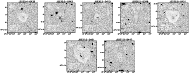 \begin{figure}
\par\mbox{\includegraphics[width=1.30in]{8453_512.ps}\includegrap...
...518.ps}\includegraphics[width=1.30in]{8453_519.ps}\hspace*{5.2cm}}\end{figure}