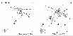 \begin{figure}
\par\includegraphics[angle=0,width=9cm]{9409fi01.eps}
\end{figure}