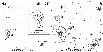 \begin{figure}
\par\includegraphics[angle=0,width=9cm]{9409fi02.eps}
\end{figure}