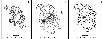 \begin{figure}
\par\includegraphics[width=9cm]{9409fi04.eps}\end{figure}