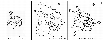 \begin{figure}
\par\includegraphics[angle=0,width=9cm]{9409fi06.eps}
\end{figure}
