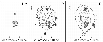 \begin{figure}
\par\includegraphics[angle=0,width=9cm]{9409fi08.eps}
\end{figure}