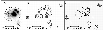 \begin{figure}
\par\includegraphics[angle=0,width=9cm]{9409fi12.eps}
\end{figure}