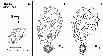\begin{figure}
\par\includegraphics[angle=0,width=9cm]{9409fi14.eps}
\end{figure}