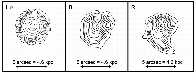 \begin{figure}
\par\includegraphics[angle=0,width=17cm]{9409fi18.eps}
\end{figure}