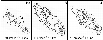 \begin{figure}
\par\includegraphics[angle=0,width=9cm]{9409fi24.eps}
\end{figure}