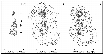 \begin{figure}
\par\includegraphics[angle=0,width=9cm]{9409fi28.eps}
\end{figure}