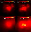 \begin{figure}
\includegraphics[width=9cm,clip]{0362f11.eps}\end{figure}