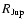 $R_{{\rm Jup}}$