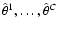 $\hat\theta^1,\ldots,\hat\theta^C$
