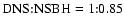 ${\rm DNS}{:}{\rm NSBH}=1{:}0.85$