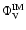 $\Phi_{\rm V}^{\rm IM}$