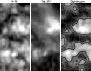 \begin{figure}
\par\includegraphics[width=8cm,clip]{0490fig2.eps} \end{figure}