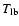$T_{\rm lb}$