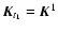 \( \vec{K}_{t_1} =
\vec{K}^1 \)