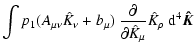 $\displaystyle \int p_1 (A_{\mu \nu} \hat{K}_{\nu} + b_{\mu}) ~ \frac{\partial}{\partial \hat{K}_{\mu}}\hat{K}_{\rho} ~ {\rm d}^4 \vec{\hat{K}}$