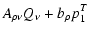 $\displaystyle A_{\rho \nu} Q_{\nu} + b_{\rho} p_{1}^{T}$