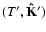 \(
(T',\mathbf{\hat{K}'} ) \)
