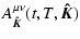 $\displaystyle A^{\mu\nu}_{\vec{\hat{K}}}(t,T,\vec{\hat{K}})$