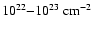 $10^{22}{-}10^{23}~{\rm cm}^{-2}$