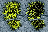 \begin{figure}
\par\includegraphics[width=4.2cm,clip]{0701fig8a.eps}\includegraphics[width=4.2cm,clip]{0701fig8b.eps}
\end{figure}