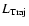 $L_{\rm Traj}$