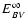 $E^\infty _{BV}$