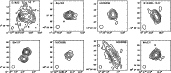 \begin{figure}
\par\mbox{\includegraphics[scale=0.26]{7224f2a.ps}\hskip-8mm
\inc...
...6]{7224f2g.ps}\hskip-8mm
\includegraphics[scale=0.26]{7224f2h.ps} }
\end{figure}