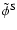 $\tilde\phi^{\rm S}$